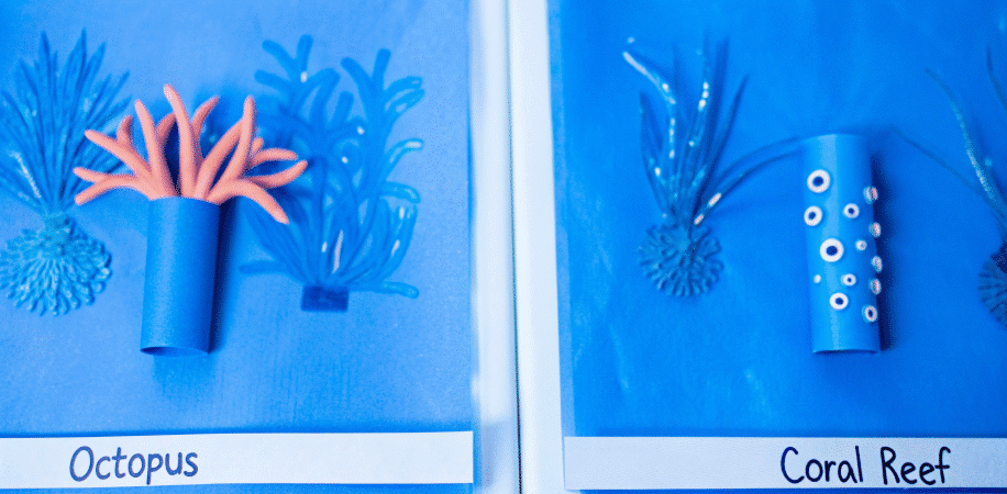 Photograph of Undersea Craft Ideas for Kids.
