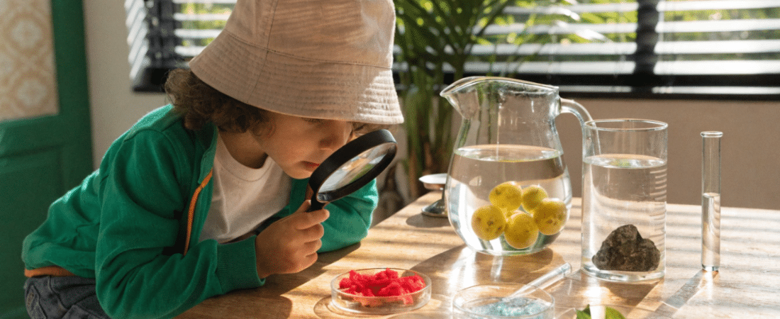 A young child wearing a bucket hat examines something in a petri dish with a magnifying glass at a sunlit table with fruits, water, plants, and scientific equipment. A young child wearing a bucket hat examines something in a petri dish with a magnifying glass at a sunlit table with fruits, water, plants, and scientific equipment.